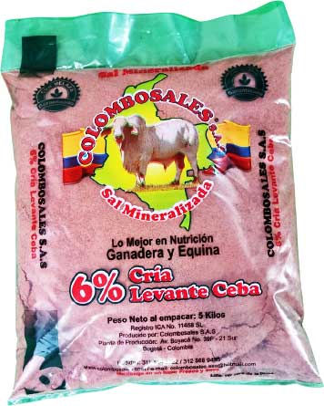 Sal mineralizada al 6